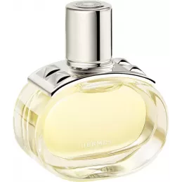 Hermès Barénia