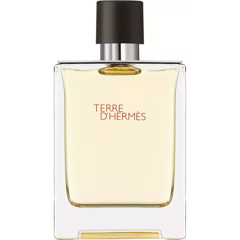 Hermès Terre d’Hermès