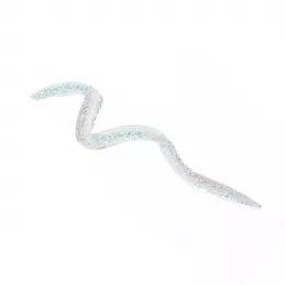 Naj oleari Sparkling Queen Mascaliner - Profumeria Italia Naj oleari Sparkling Queen Mascaliner - Profumeria Italia