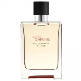 Hermès Terre d’Hermès Intense Eau de Parfum - Profumeria Italia