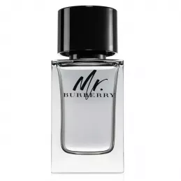 Burberry Mr. Burberry Eau de Toilette Uomo 100 ml