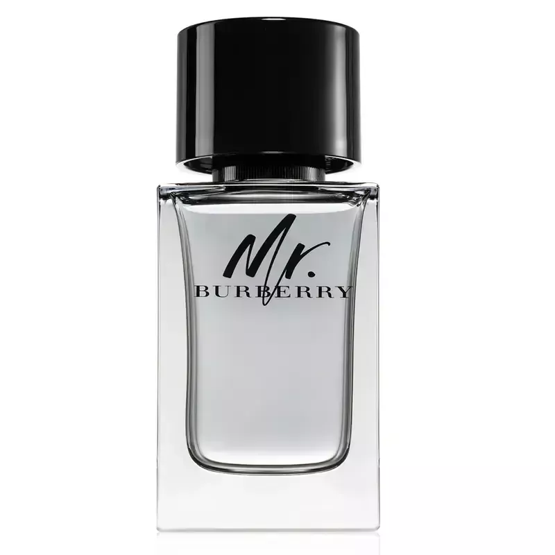 Burberry Mr. Burberry Eau de Toilette Uomo 100 ml Burberry Mr. Burberry Eau de Toilette Uomo 100 ml