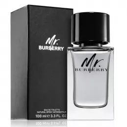 Burberry Mr. Burberry Eau de Toilette Uomo 100 ml Burberry Mr. Burberry Eau de Toilette Uomo 100 ml